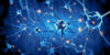 Scientists analyze Amyotrophic Lateral Sclerosis patient cells to improve strategy testing